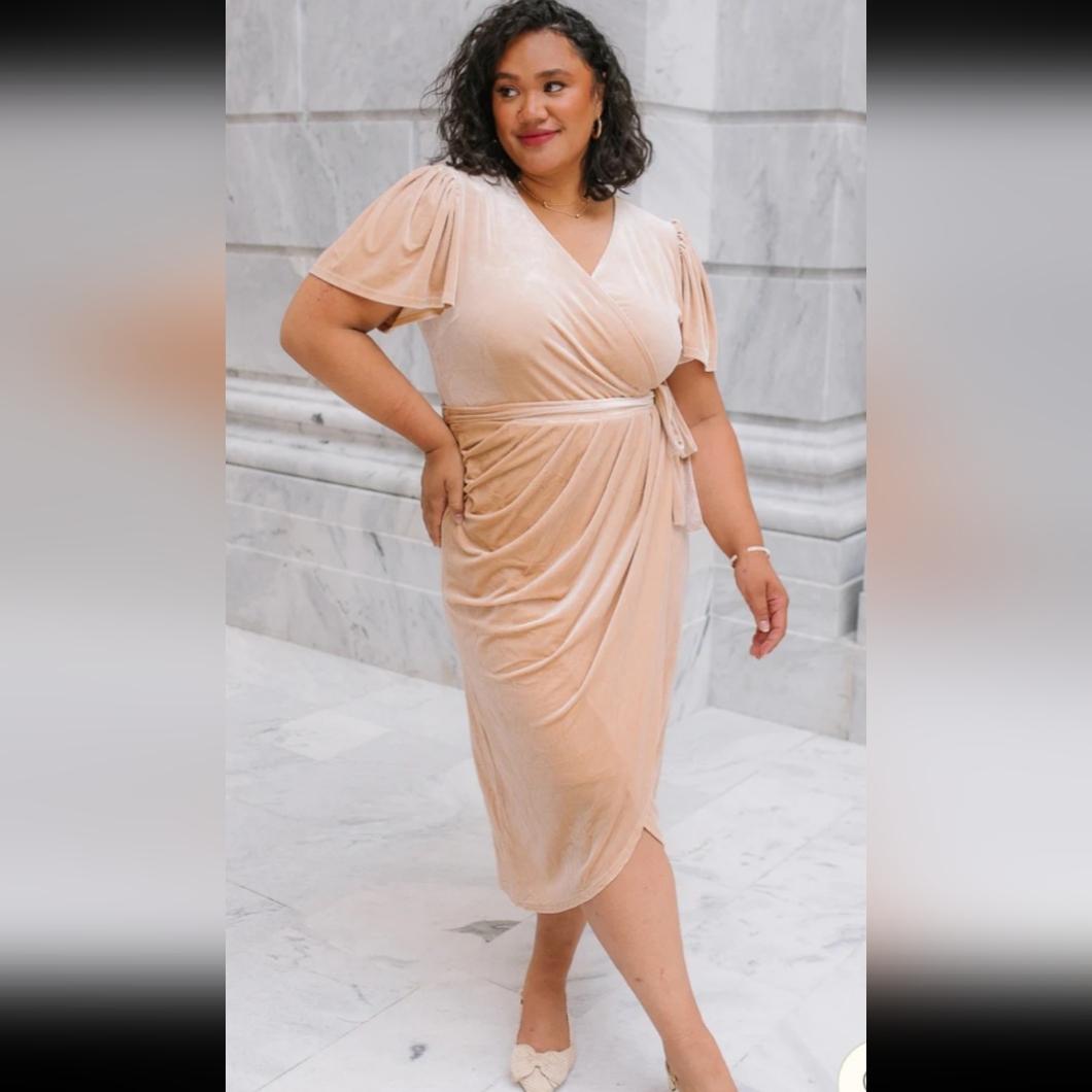 Nwt Ivy City Co Lillie Dress In Champagne Velvet Sz Xxs